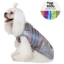 Жилет для собак Pet Fashion FASHION XS2 сірий: Розмір XS2