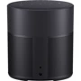 Акустика Bose Home Speaker 300, Triple Black (808429-2100): Звуковая система 1.0