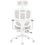 Офісне крісло OfficePro Skyline (OC750-W-LG-LG): Матеріал оббивки Тканина, З сіткою