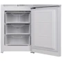 Холодильник Indesit DS 3161 W (UA): Исполнение отдельностоящий