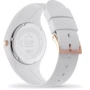 Наручные часы Ice-Watch 017126: Механизм Кварцевый