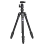 Benro A-168m8 + BH-0M "Travel" (A1680TBH0) цанга
