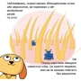 Карлос Пасос: Генетика: Производитель Наш формат