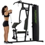 Фитнес станция Tunturi HG20 Home Gym (17TSHG2000): Тип конструкции стационарный
