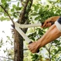 Сучкорез Fiskars White L32 (1026930): Тип веткорезы