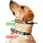 Строгий ошейник для собак Sprenger Ultra-Plus Training Collar с 2-мя кольцами и замком ClicLock нержавеющая сталь 4 мм 60 см (39690): Производитель Sprenger