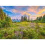 Пазли Castorland Ранкові квіти 2000 елементів (C-200863): Виробник CASTORLAND