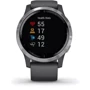 Смарт-годинник Garmin Vivoactive 4 Silver Stainless Steel Bezel w. Shadow Gray and Silicone B. (010-02174-01): Колір ремінця сірий