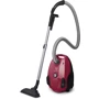 Пылесос Electrolux PowerForce EPF61RR