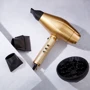 Фен BaByliss PRO GOLD FX FXBDG1E: Количество температурных режимов 2