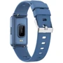 Смарт-часы Maxcom Fit FW53 Nitro Blue: Емкость батареи, мАч 160