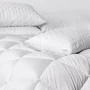 Одеяло ТЕП Alaska microfiber 200х220см (4820185677653): Размер, см 220x200