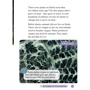 Oxford Read and Discover 4: All About Plants: Количество страниц 48