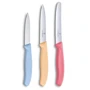 Набор кухонных ножей Victorinox SwissClassic Paring Set 3 пр. (6.7116.34L1): Материал рукояти полипропилен