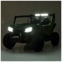 Багги Bambi Racer (M 5019EBLR-10): Вес, кг 34