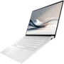 Ноутбук ASUS ZenBook S 14 UX5406SA-PV035X (90NB14F2-M00150) UA: Оперативная память 32 ГБ