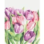 Картина по номерам Brushme Утренние тюльпаны ©Karolina Bundash 40х50 см (BS53939)