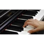 Цифровое пианино YAMAHA ARIUS YDP-164WA (+блок питания): Количество клавиш 88 (7.5 октав)
