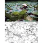 Вдохновляйся и рисуй. Мир: ISBN 978-5-906838-64-3