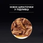 Влажный корм для котов Purina ProPlan Kitten Nutrisavour с индейкой 85 г (12457652): Тип Влажный корм