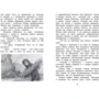 Эрнест Д'Эрвильи. Приключения доисторического мальчика: Обложка Твердая