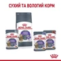Сухой корм Royal Canin Sterilised Appetite Control для стерилизованных котов 3.5 кг (2563035): Основные ингредиенты Кукуруза, Птица