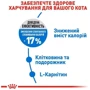 Сухой корм Royal Canin Light Weight Care для котов для снижения веса 3 кг (2524030): Возраст Взрослые