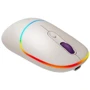 Мышь Canyon MW-22 Dual Band RGB Wireless Rice (CNS-CMSW22RC): Тип сенсора оптический