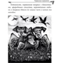 Олексій Кононенко: Українська міфологія. Тваринна та рослинна символіка: Количество страниц 448