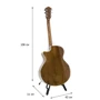 Электроакустическая гитара Ibanez AE245 NT: Тип Электро-акустическая гитара