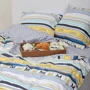 Комплект постельного белья Viluta Twill 535 сатин подростковый (535pd): Размер простыни, см 150x214