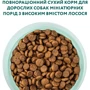 Сухой корм Optimeal for adult dogs of miniature breeds для взрослых собак миниатюрных пород с высоким содержанием лосося 4 кг (4820215369992): Порода Малые