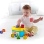 Сортер Fisher-Price Відерце з кубиками Яскраве (FFC84): Тип сортер