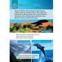 Oxford Read and Discover 6: Wonderful Ecosystems: Производитель Oxford University Press