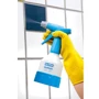 Gloria CleanMaster CM05, 0.5 л (000607.0000): Тип ручной рычажный