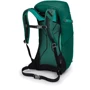 Рюкзак Osprey Hikelite 32 Aloe Green - O/S (009.1912): Вес 0.77 кг