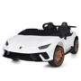 Детский электромобиль Bambi Racer Lamborghini белый (M 5020EBLR-1(24V))