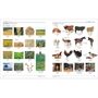 Bilingual Visual Dictionary French-English: Количество страниц 360