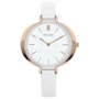 Наручные часы Pierre Lannier 075J900