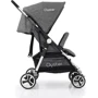 Прогулочная коляска для двойни Babystyle Oyster Twin Mercury: Тип коляски Коляска для двойни