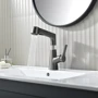 Смеситель для раковины Lefton Single-Hole Rotatable and Liftable Pull-Out Faucet-BF2203 Grey: Вид монтажа Врезной