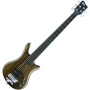 Бас-гітара WARWICK WPS1225 10AA OVA FR: Тип Бас гітара