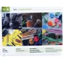 German. Picture Dictionary: Количество страниц 228
