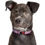 Ошейник HiDog Flowers pink S 16 мм 25-33 см розовый (102\1020): Цвет розовый