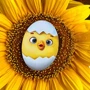 Сортер-вкладиш Ubee "Курчата - фігури" (ПСД163): Стать Для мальчиков, Для девочек