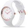 Наручные часы Ice-Watch 016300: Стиль Классический