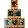 Res Arcana (Настільна гра, Українською) (1002004): Вид стратегічні