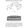 Фортифікація та маскування. Книга ворога, ворожою мовою фото 7