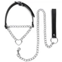 Ошейник с поводком Bedroom Fantasies: Collar with Chain Silver
