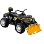 Детский электромобиль-квадроцикл Bambi Racer черно-желтый (M 4868EL-2-6(24V)): Вид квадроцикл